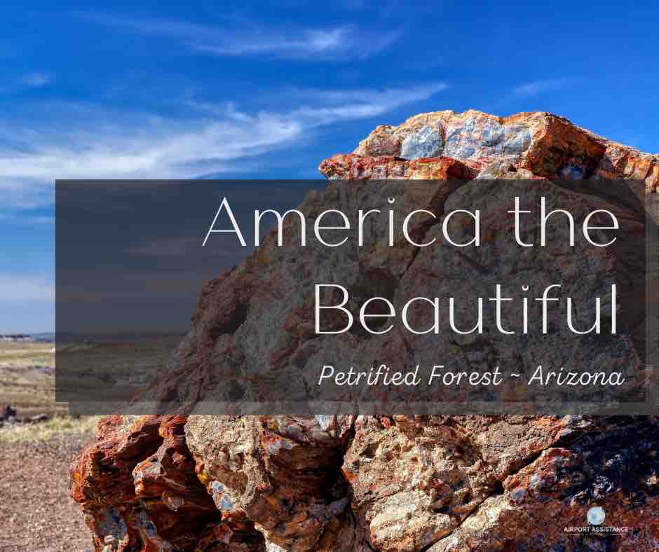 Colorful image of petrified tree rock against blue skyline in Arizona desert